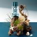 SOLINOTES Cedarwood Perfume for Men - Eau De Parfum | Refined Woody and Soothing Fragrance - Made in France - Vegan - 1.7 fl.oz - Buy Online on GoSupps.com