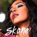Precision Lip Brush - Smooth Application | Professional Lipstick & Gloss Brush | Skone Cosmetics - Buy Online on GoSupps.com