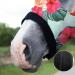 Shop Harrison Howard Soft Fleece Horse Head Hood - Stretchy Comfortable & Zippered - Chic Flamingo Design (Medium) | International Shipping Available - Buy Online on GoSupps.com