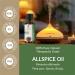 Allspice Oil (Pimenta Officinalis) Essential Oil 100% Pure Natural Undiluted Uncut Therapeutic Grade Oil 0.33 FL.OZ 0.33 Fl Oz (Pack of 1) - Buy Online on GoSupps.com