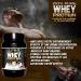 Whey Protein | Pure Protein with Collagen + Magnesium | Tones and Increases Muscle Mass | Protects Muscles and Aids Fibrous Tissue Recovery | 1000g Chocolate Protein - Buy Online on GoSupps.com