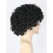 Topcosplay Men's Afro Wig | 80s 70s Disco Style | Short Curly Brown & Blonde Wig for Halloween Cosplay - Buy Online on GoSupps.com