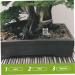 Mipcase 2pcs Pet Water Feeder Ants Nest Water Feeder Ants Nest Water Feeding Area Ants Water Feeder Plastic - Buy Online on GoSupps.com