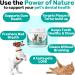 NutriPaw Dental Powder for Dogs & Cats - Clean Teeth, Healthy Gums & Fresh Breath - Plaque & Tartar Control - Fuss-Free Oral Care Solution - Lasts Up to 6 months - Buy Online on GoSupps.com