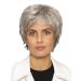 Lofty Wig Luka - High-Quality Synthetic Hair Realistic Light Blonde with Dark Roots - International Shipping Available - Buy Online on GoSupps.com
