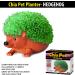 Chia Pet Planter- Hedgehog - Buy Online on GoSupps.com