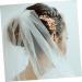 DOITOOL Tiara Wedding Bride Hair Comb Bridal Hair Accessories Hair Comb for Women Wedding Hair Accessories Women Hair Accessories Pearl Hair Comb Headgear Hairpin Miss Silver - Buy Online on GoSupps.com