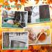 Premium Stainless Steel Maple Syrup Taps - Reusable Tree Water Taps for Family Farms & Gardens - Buy Online on GoSupps.com