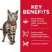 Hill's Science Diet Dry Cat Food - Adult Perfect Weight Chicken Recipe for Healthy Weight Management - Buy Online on GoSupps.com