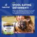 NaturVet Coprophagia Stool Eating Deterrent & Breath Aid - 130 Soft Chews (10 oz) - Buy Online on GoSupps.com