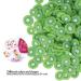 Fruit Nail Art Slices - DIY Kiwi Manicure Decor for Home & Nail Salons | Exquisite International Shipping - Buy Online on GoSupps.com