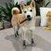 Expawlorer Non-Slip Dog Socks - 2 Pairs of Double-Sided Paw Protection for Hardwood Floors - Large Anthracite/Ash - Buy Online on GoSupps.com