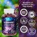 Elderberry Gummies - 3X Strength Black Elderberry Immune Support Gummy with Vitamin C D3 and Zinc for Kids & Adults Immune Health Support Supplement Gummy Black Elder Berry Vitamins - 120 Gummies 120 Count (Pack of 1) - Buy Online on GoSupps.com