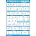 Palace Learning 3-Pack: Dumbbell Exercise Poster Resistance Bands Workouts & Stretching Tables - Laminated 18x24 - Ideal for Home Fitness & International Shipping - Buy Online on GoSupps.com