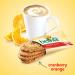 belVita Cranberry Orange Breakfast Biscuits - 5 Packs (4 Biscuits Per Pack) - Buy Online on GoSupps.com
