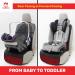 Royal Rascals Car Seat Protector - Padded Cover with Headrest Fastener, Organizer Pockets & Liners - Universal Fit for Cars - Black & Red - Buy Online on GoSupps.com