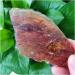 CIMWJOPS Natural Crystal Rough Natural Loose Gemstone Rough Raw Stone Natural Resin Minerals (Size : 200g) 100g - Buy Online on GoSupps.com
