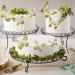 Gyufise 36 Pack Gold Glitter 3D Butterfly Cupcake Toppers for Birthday Wedding Party | Hollow Butterfly Cake Decorations & Wall Stickers - Buy Online on GoSupps.com