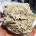 300-600g Natural Desert Rose Stones SeleniteReiki ra Crystal Specimen Rough Sample Cluster fengshui Home Decor ZJGIDTEM (Color : About 300g) - Buy Online on GoSupps.com