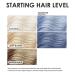 KERACOLOR Kit of 3-in-1 (Cleanse + Conditioner + Color) Silver Blue Semi-Permanent Hair Dye and Finishing Hair Spray 10oz - Buy Online on GoSupps.com