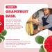 Cleancult Grapefruit Basil Liquid Hand Soap Refill 32oz - Nourishing, Moisturizing & Eco-Friendly Formula - Buy Online on GoSupps.com