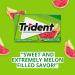 Trident Past que Twist Chewing Gum 14 B tonnets Lot de 3 - Buy Online on GoSupps.com