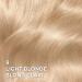 L Or al Paris Superior Preference 9 weeks of Luminous Fade-Defying Permanent Hair Dye 9 Light Blonde 100% Grey Coverage 1 Hair Dye Kit (Packaging May Vary) Light Blonde 1 Count ( Pack Of 1 ) - Buy Online on GoSupps.com