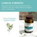 Himalaya Organic Neem Acne Relief Caplets - Clear, Smooth & Radiant Skin - 4 Month Supply (2 Pack) - Buy Online on GoSupps.com