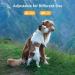Dog Prong Collar Choke Collar for Dogs Pinch Training Collar Detachable Adjustable Choke Collar with Comfort Rubber Tips Metal Adjustable Large Middle Dog Pet Pinch Collar (A XL) A XL - Buy Online on GoSupps.com