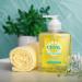 Cidal Grapefruit Handwash antibacterial uplifting fresh grapefruit scent 250ml - Buy Online on GoSupps.com