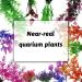 QUOZUO 25-Piece Aquarium Plants Decoration Set | Colorful Artificial Plants & Resin Cave Fish Tank Ornaments - Enhance Your Aquarium Today! - Buy Online on GoSupps.com