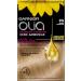 Garnier Olia Permanent Hair Colour without Ammonia with Nourishing and Natural Oils Full Grey Hair Coverage Permanent Colouration No. 9G Cool Light Blonde 3 x 1 Piece - Buy Online on GoSupps.com