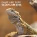 N Rodenteppich.de Reptile Carpet for Terrarium 60x40 cm - 2 Set Coconut Fiber Mat for Chameleons Snakes & Lizards - Buy Online on GoSupps.com