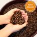 Buy Tower Coffee Cream Set (2x240 pcs) & Coffeefair Sugar Sticks (1000x4g) - Premium International Shipping - Buy Online on GoSupps.com