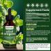 Oil of Oregano Liquid Drops with Black Seed Oil High Carvacrol & Thymoquinone Concentrate for Immune Digestive & Respiratory Support Fast Absorbing Vegan Non-GMO Alcohol-Free (2 fl oz / 60 mL) - Buy Online on GoSupps.com
