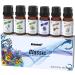 6X10ml Essential Blends Fragrance Oil Set | Premium Scents for Diffusers Candles Slime Soap Making and More Tea Tree Jasmine Lavender & More - Buy Online on GoSupps.com