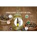 Feelia - Organic Castor Oil - Cold Pressed - Rich in Vitamin E Omega 6 & 9-100% Pure & Organic -100ml - Buy Online on GoSupps.com