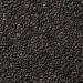 6 oz Spiced Black Sesame Seeds - Whole Raw Sesame Seeds for Toasting, Baking, Cooking, Garnishing - Buy Online on GoSupps.com
