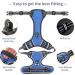 Shop Heele Dog Crockery & No-Pull Harness for Medium Dogs | Breathable Reflective Dog Gear - Blue XS - Buy Online on GoSupps.com