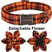 Adorable Halloween Dog Collar with Flower | Aring Pet Dog Collar for Boys & Girls | Medium Orange Grille | Perfect Autumn Gifts - Buy Online on GoSupps.com
