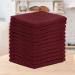 TALVANIA Dishcloths for Kitchen Cotton Terry Dish Cloths 12 Pack Soft and Absorbent Cleaning Dish Rag 12 X 12 Small Dish Towels (Red) - Buy Online on GoSupps.com