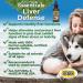 Animal Essentials Pet Supplements for Dog and Cat 1 fl oz (30 ml) - Top Quality Nutrition for Your Pets - Buy Online on GoSupps.com