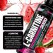 Nutrex Research Liquid Carnitine 3000 | (Strawberry Watermelon) | Premium L Carnitine Liquid Stimulant Free 31 Servings 31 servings Strawberry Watermelon - Buy Online on GoSupps.com