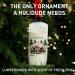 Old Spice Aluminum Free Deodorant for Men Holidudes Limited Edition 24/7 Holiday Freshness Odor Protection Stocking Stuffer Lumbersnack with Fresh Pine Scent 3.0 oz (Pack of 3) - Buy Online on GoSupps.com