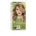 Naturtint 8G Sandy Golden Blonde 100 g 165 ml (1 pack) golden blonde Sandy