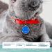 Personalized Cat Gifts for Medium to Large Cats | Ibera - Engraved Name Collar & Address Trailer Necklace (Blue) - Buy Online on GoSupps.com