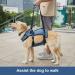 COODEO Dog Lifting Harness - Adjustable Breathable Support for Rehabilitation | Ideal for Old & Disabled Pets - Blue - International Shipping - Buy Online on GoSupps.com