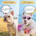UV Protective Heart Shape Dog Sunglasses - Windproof Waterproof & Adjustable Glasses for Small Dogs (Pink) - Buy Online on GoSupps.com