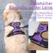 Rabbitgoo Dog Harness for Small Dogs - No Pull Adjustable Control Vest - Breathable Reflective Stripes - Safe Guide - Purple XS - 1 Pack - Buy Online on GoSupps.com