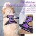 Rabbitgoo Medium Dog Harness - No Pull Adjustable Breathable with Reflex Stripes - Safe Control for Large Dogs - Purple (1 Pack) - Buy Online on GoSupps.com